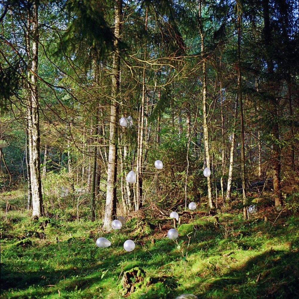 Framed Forest Photography Wall Art | Dreamy Nature + Balloon Scandinavian Decor